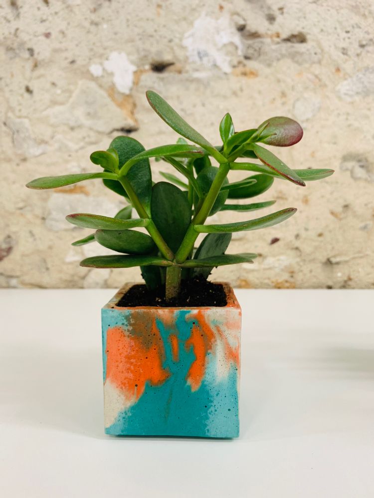 Decorative objects - Concrete Pot | Plant Pot | Marble Concrete - JUNNY