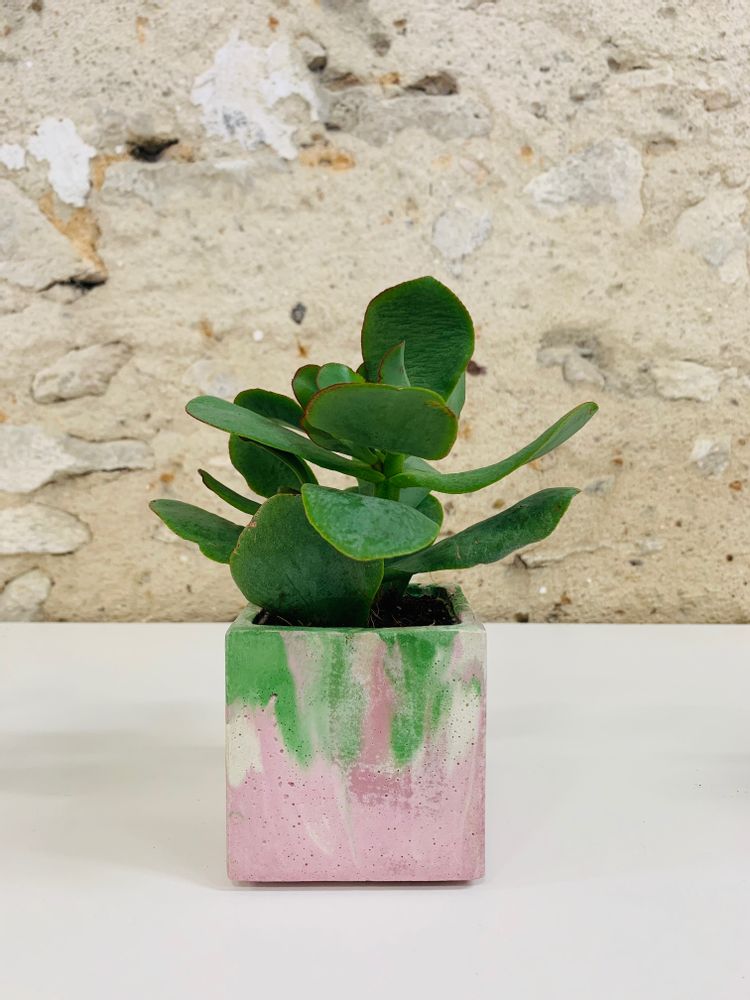 Decorative objects - Concrete Pot | Plant Pot | Marble Concrete - JUNNY