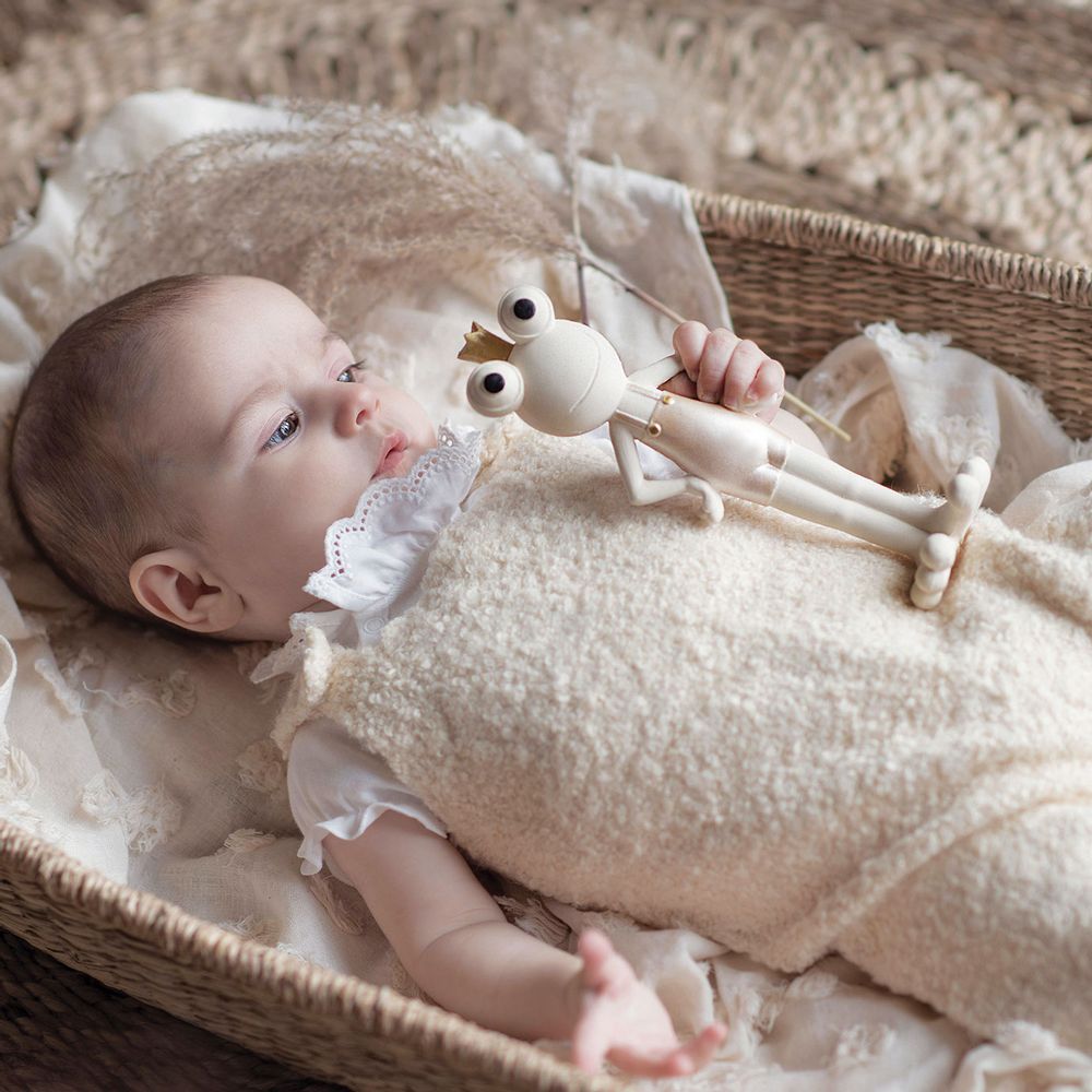 Soft toy - Prince Froggy - LEGGYBUDDY
