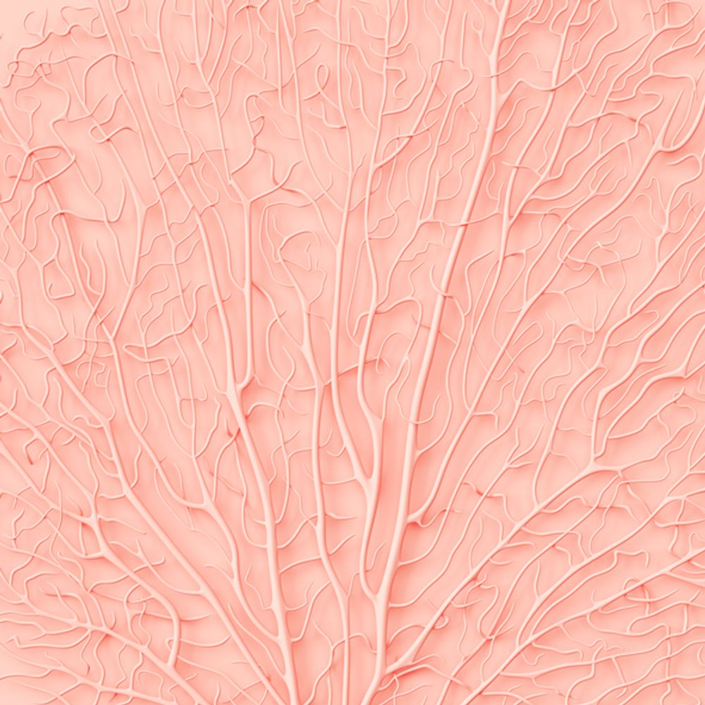 Other wall decoration - Contemporary - GETTY IMAGES GALLERY