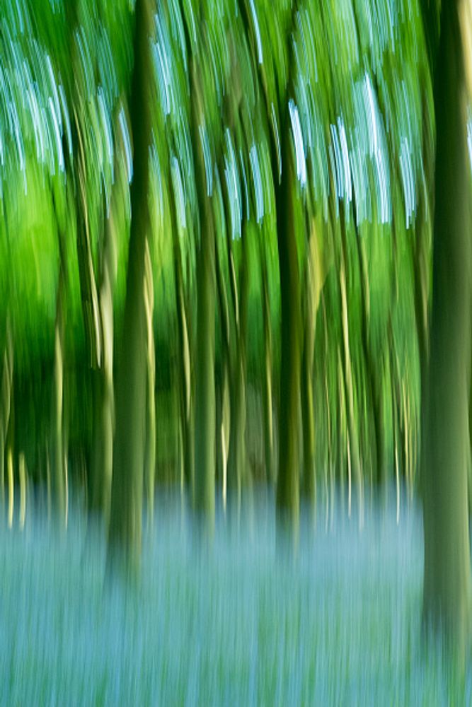 Other wall decoration - Contemporary - GETTY IMAGES GALLERY