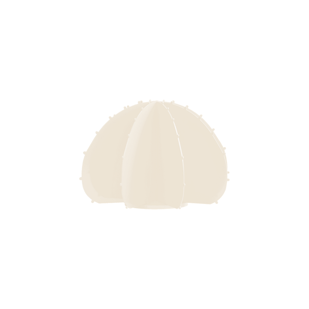 Objets de décoration - CACTUS BOULE BLANC - LP DESIGN