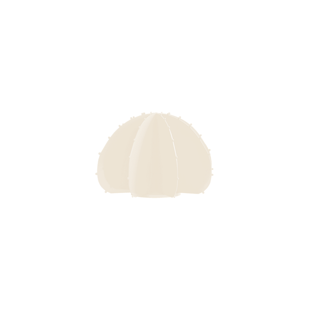 Objets de décoration - CACTUS BOULE JAUNE - LP DESIGN
