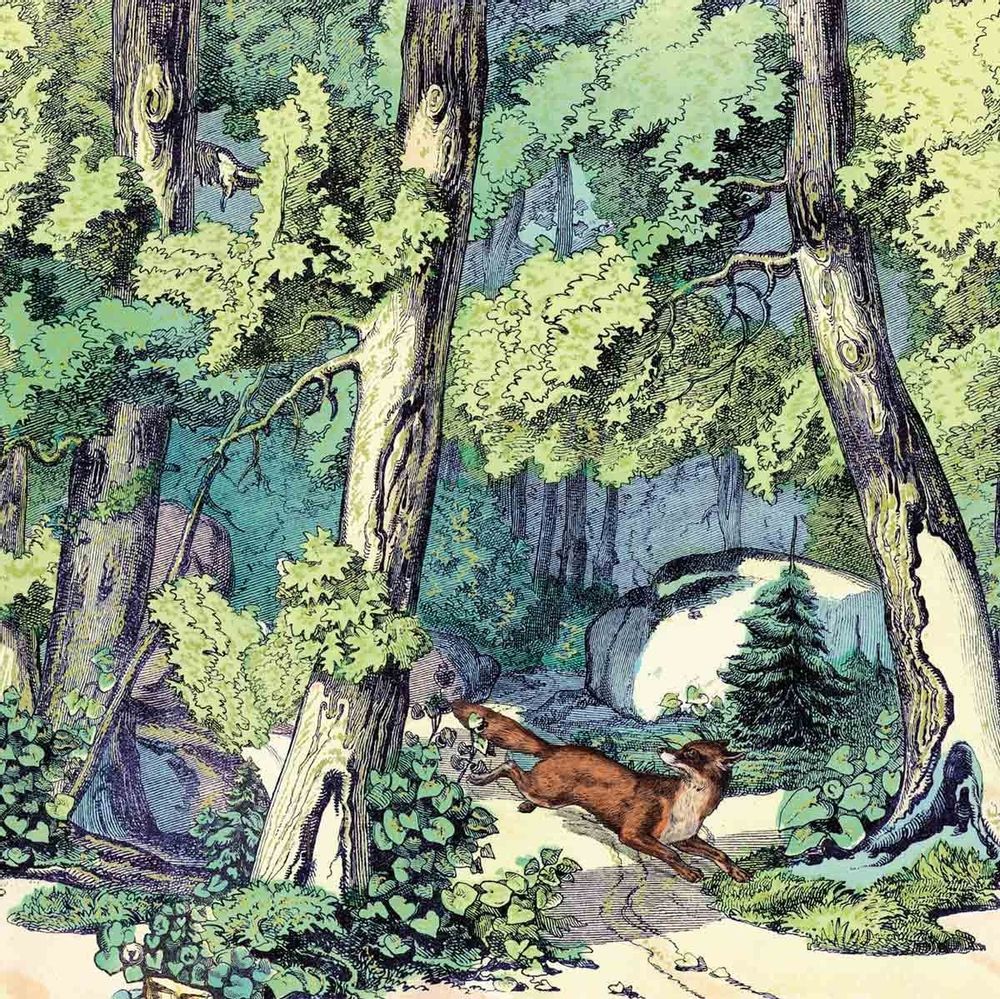 Papiers peints - Panneau Fond de Forêt - ETOFFE.COM