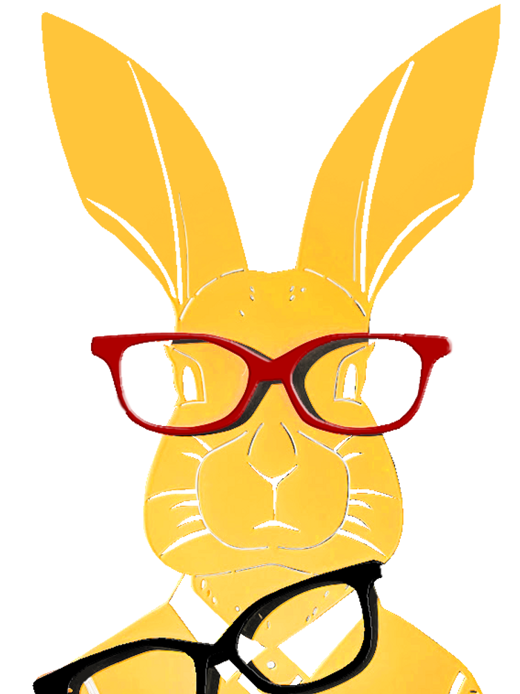 Objets de décoration - LAPIN LUNETTES AMO - LP DESIGN