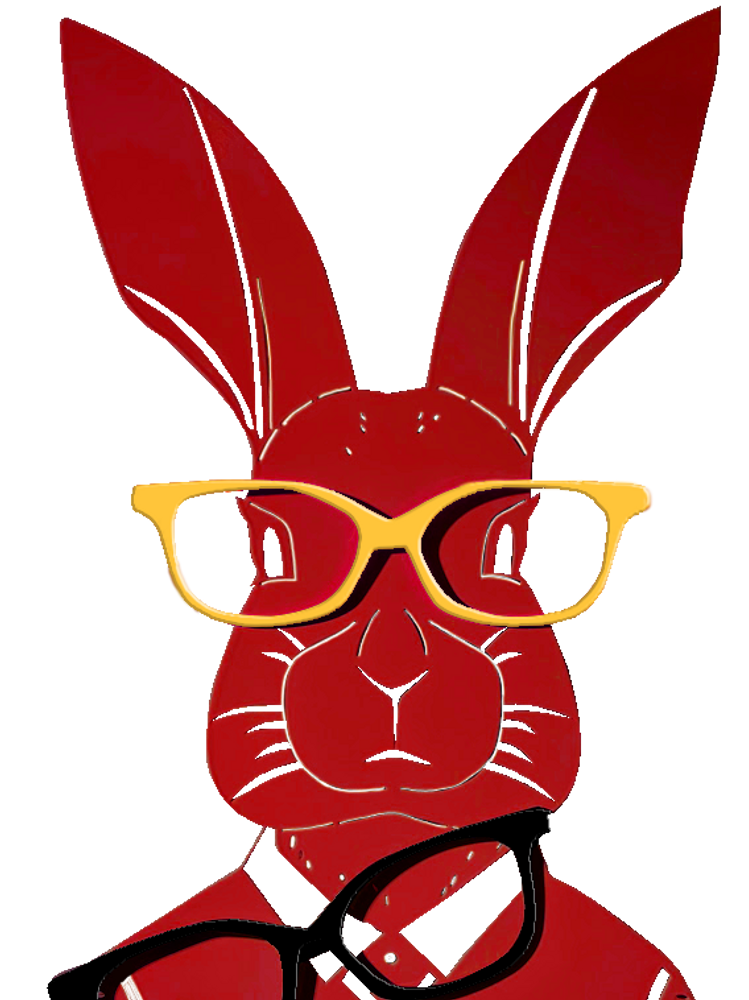 Objets de décoration - LAPIN LUNETTES AMO - LP DESIGN