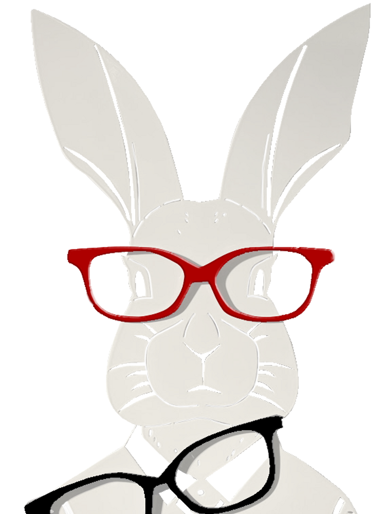Objets de décoration - LAPIN LUNETTES AMO - LP DESIGN