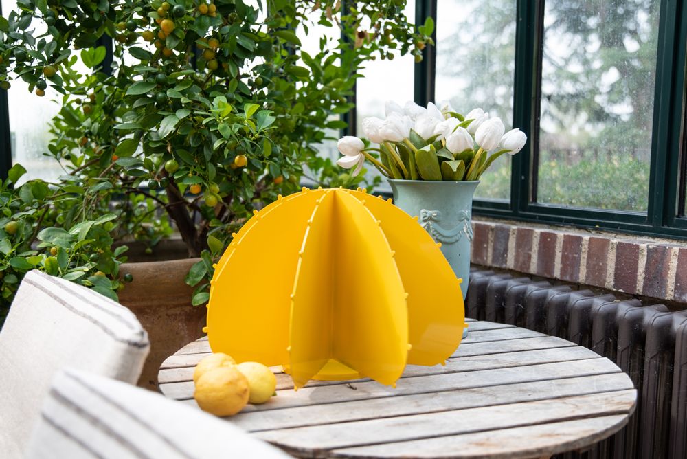 Objets de décoration - CACTUS BOULE JAUNE - LP DESIGN