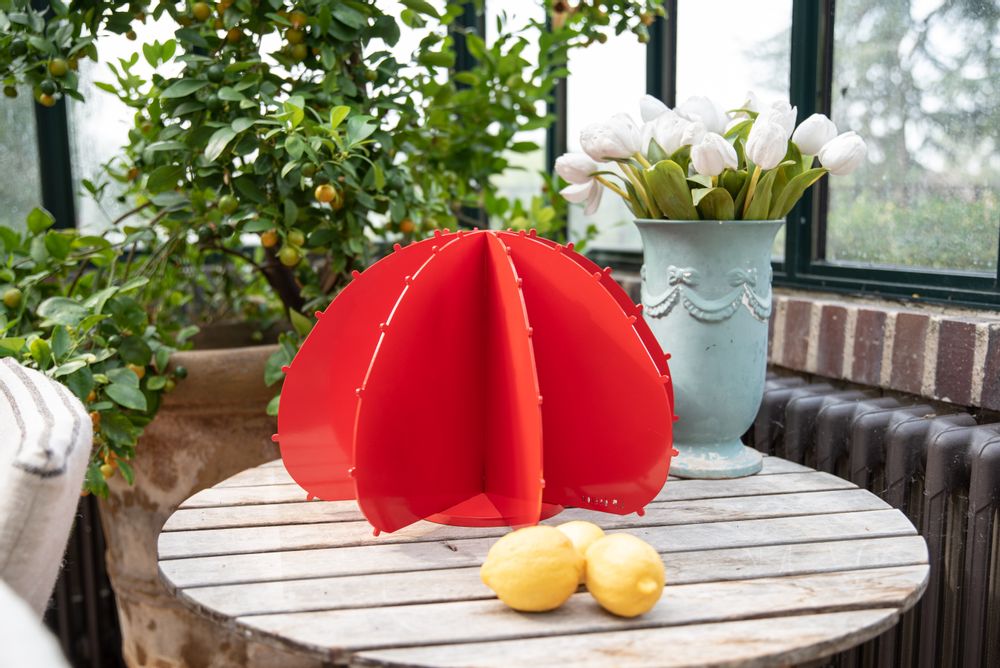 Decorative objects - RED BALL CACTUS - LP DESIGN