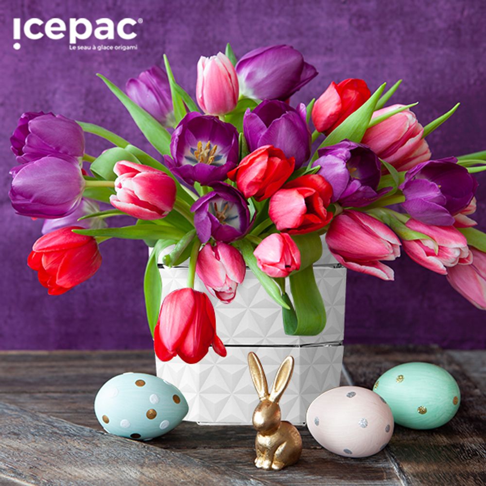 Gifts - PURE Origami Folding Ice Bucket and Vase - ICEPAC FLOWERPAC