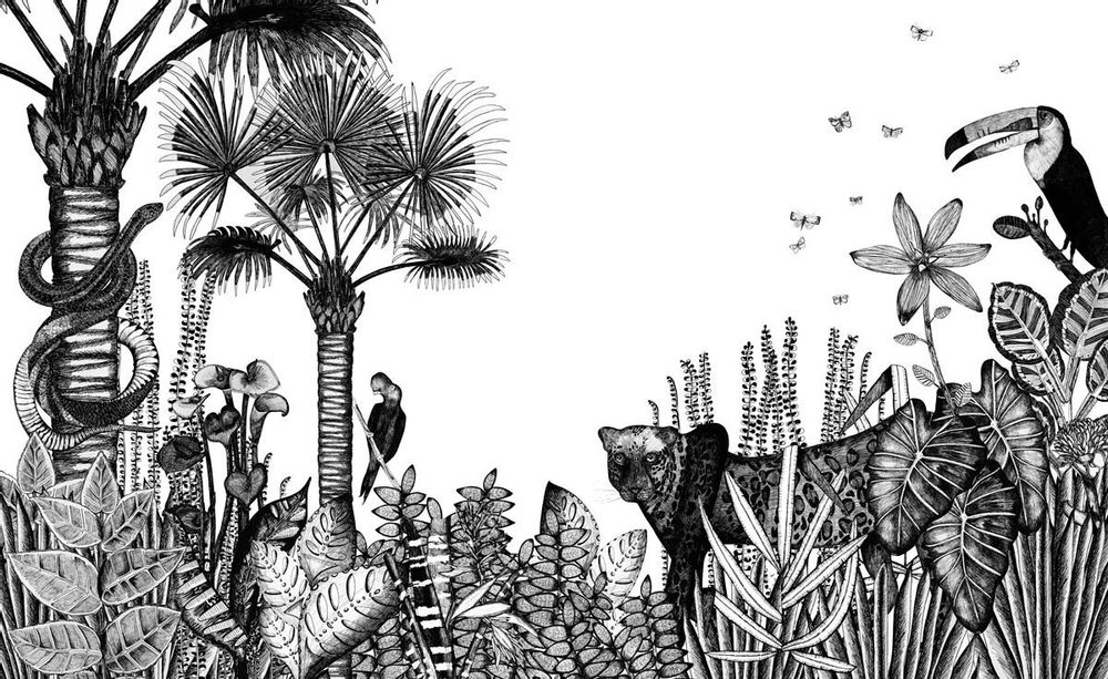 Wallpaper - The Wild Sign - ETOFFE.COM