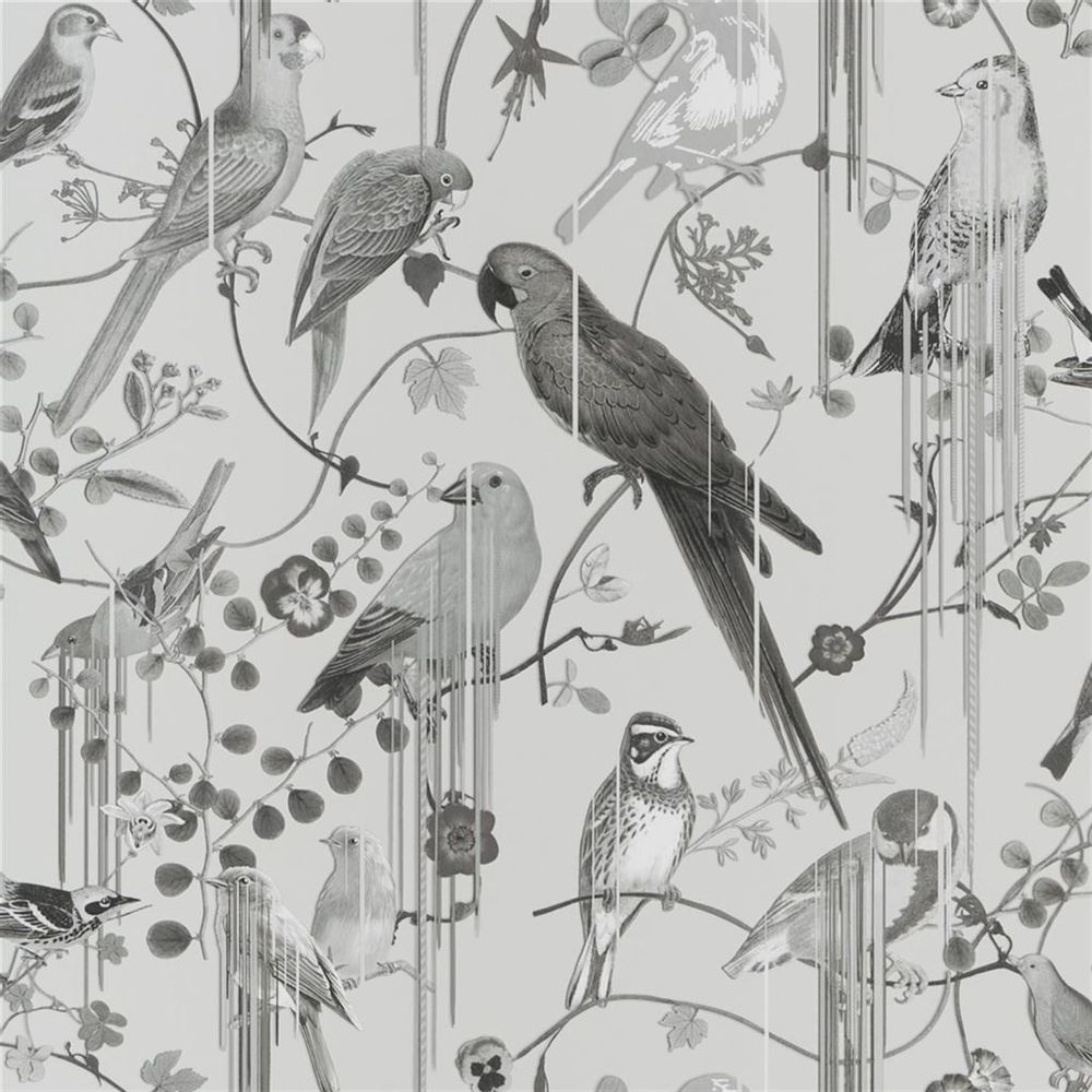 Wallpaper - Wallpaper Birds Sinfonia - ETOFFE.COM