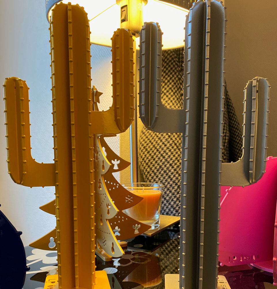 Objets de décoration - MINI CACTUS BRANCHES ROUGE - LP DESIGN