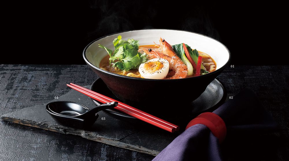Everyday plates - Japanese dishes for restaurants - SHIROTSUKI / AKAZUKI JAPON