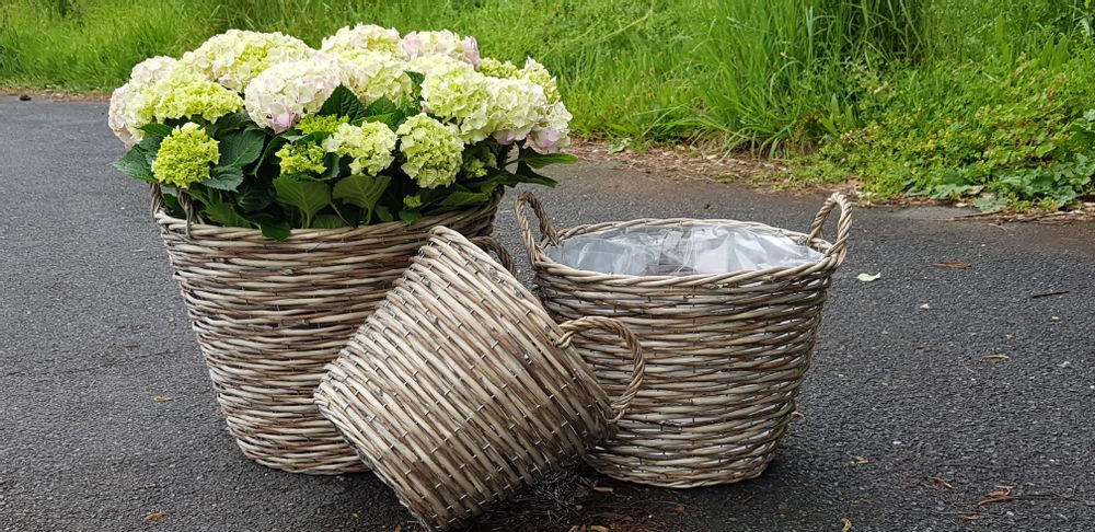 Floral decoration - WICKER RANGE BASKETS - FYDEC COLLECTION
