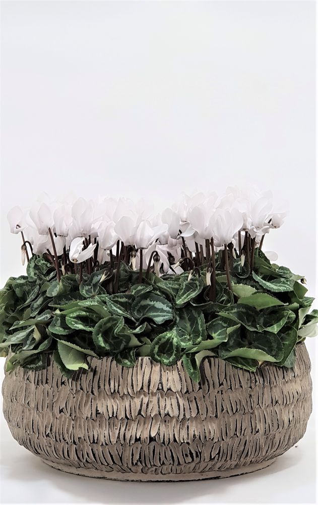 Floral decoration - CONTAINERS i pot - FYDEC COLLECTION