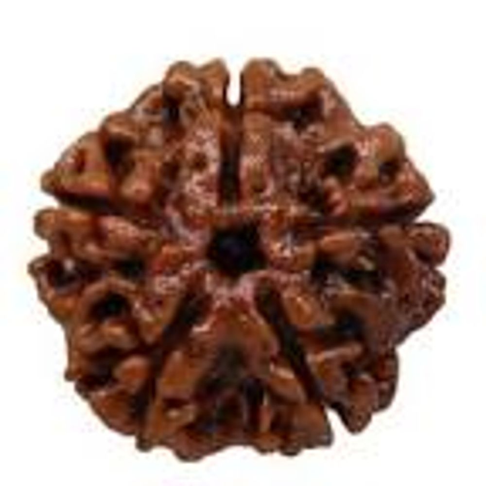 Bijoux - LUCKY CHARM MALA EN RUDRAKSHA AUX 7 PIERRES PRÉCIEUSES SHAKRAS - PECHAAN
