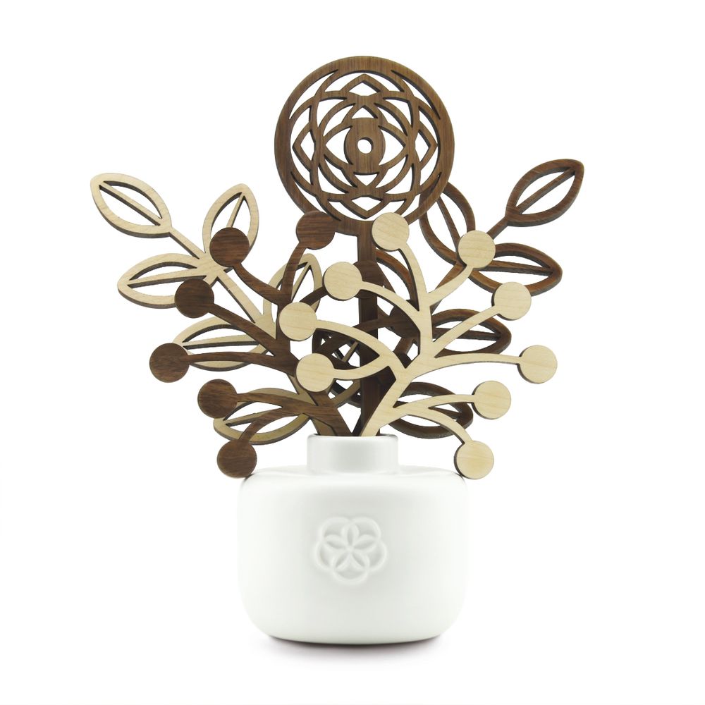 Decorative objects - FRAGRANCE DIFFUSER - LEBANESE CEDRA - VISION - LUMINOSENS