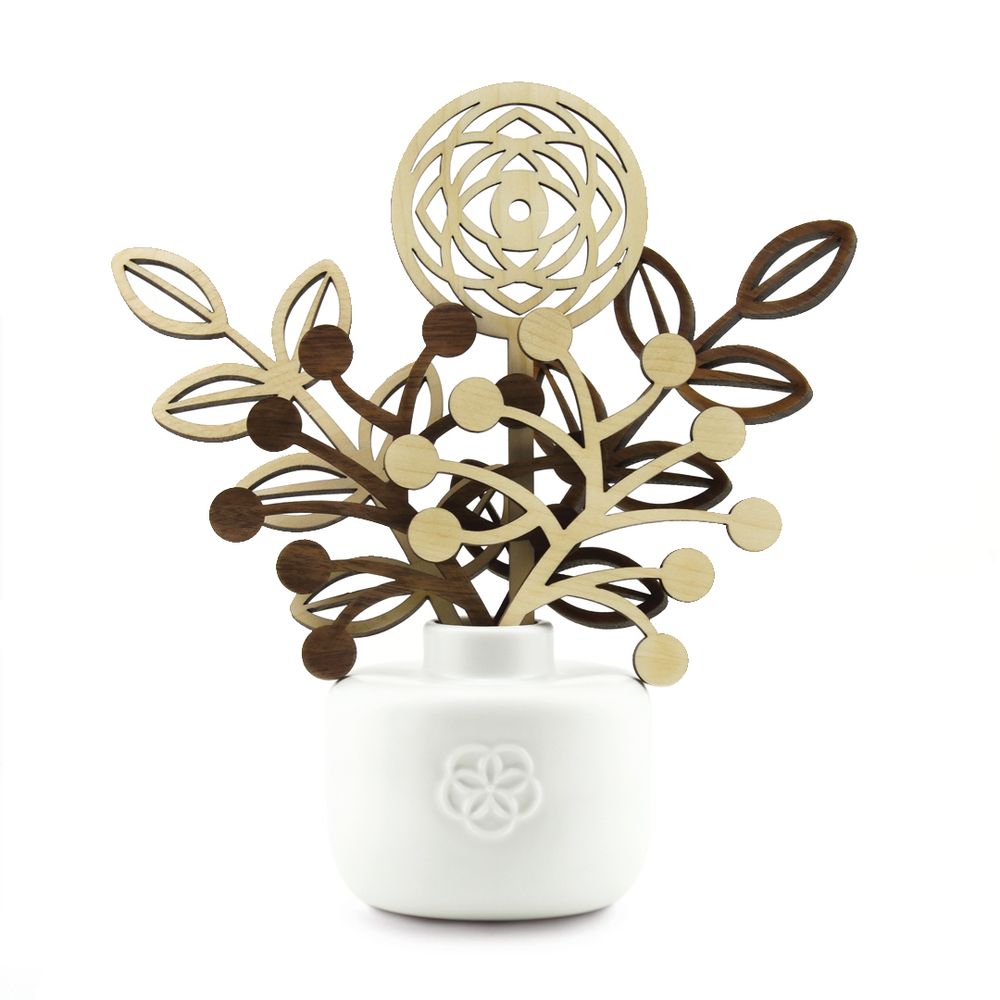 Decorative objects - FRAGRANCE DIFFUSER - LEBANESE CEDRA - VISION - LUMINOSENS