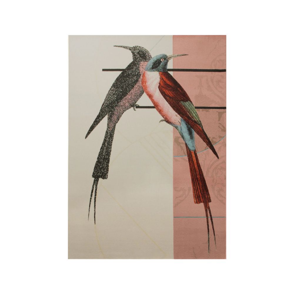 Other caperts - Plumbird Rug - COVET HOUSE
