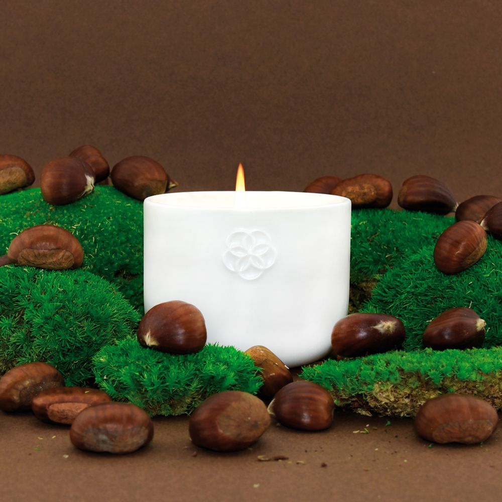 Decorative objects - SCENTED CANDLE - CHESTNUT - TASTE - LUMINOSENS