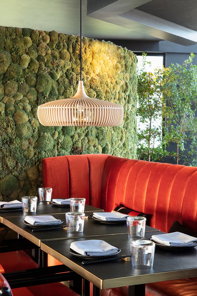 Hanging lights - Clava Dine wood | lampshade - UMAGE