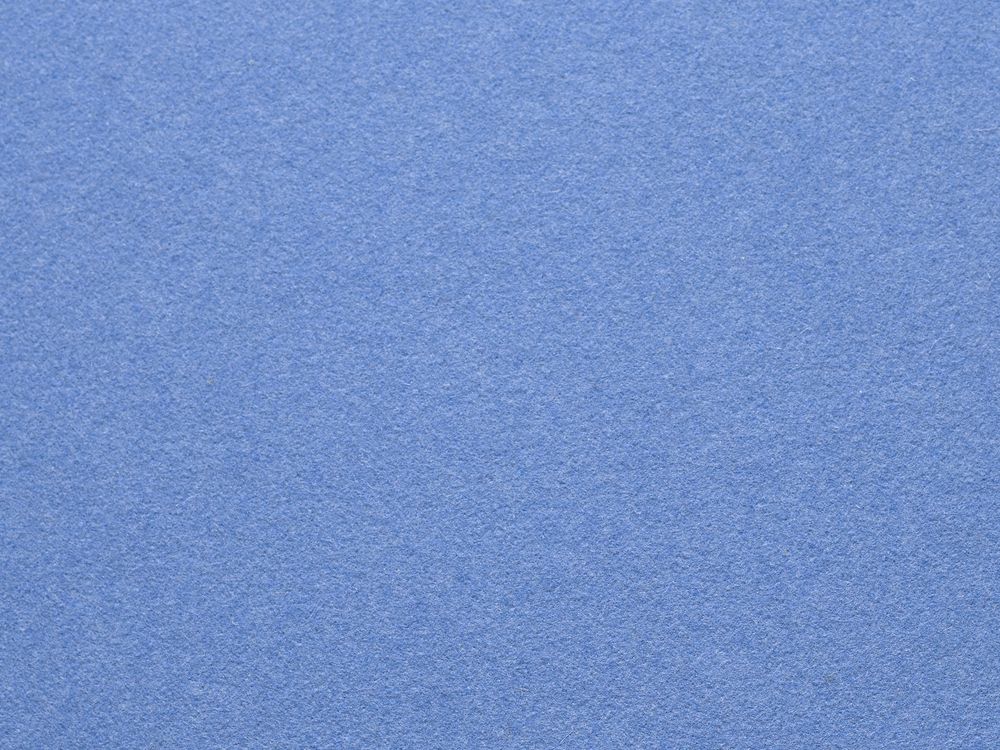 Aménagements pour bureau - FEUTRE DE LAINE - spéciaux de couleur - FÉLINE