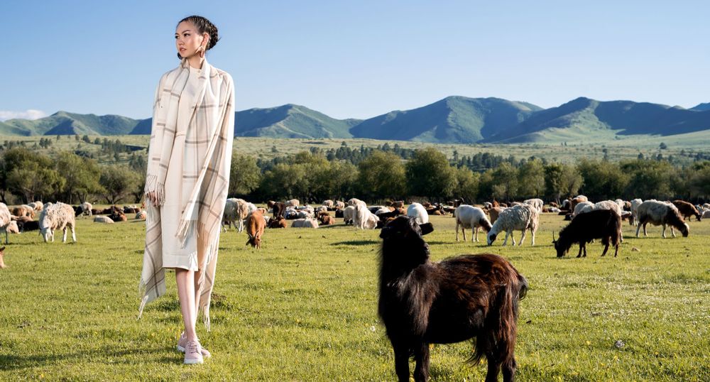 Plaids - Couvre-lit en cachemire naturel - ERDENET CASHMERE