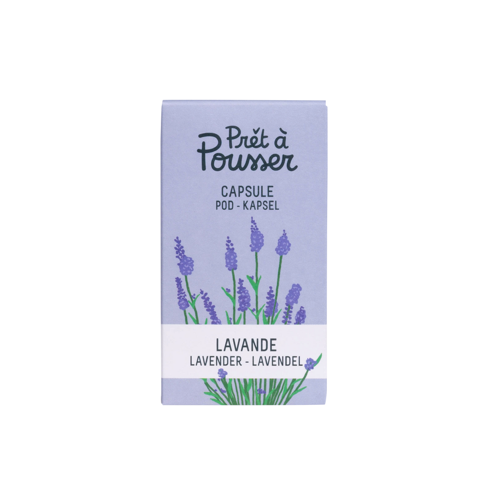 Floral decoration - LAVENDER CAPSULE PRET A POUSSER - PRÊT À POUSSER