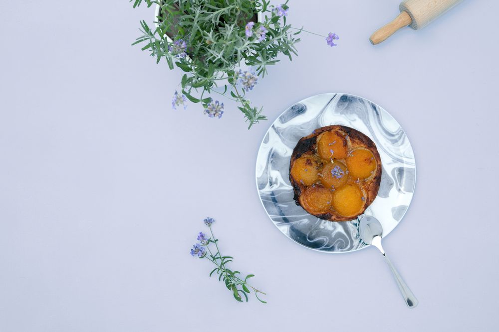 Floral decoration - LAVENDER CAPSULE PRET A POUSSER - PRÊT À POUSSER