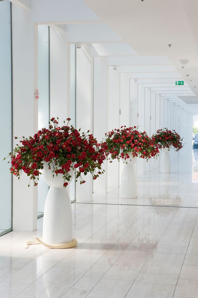 Floral decoration - Set Arrangements Big - Big Flower Compositions - VG - VGNEWTREND