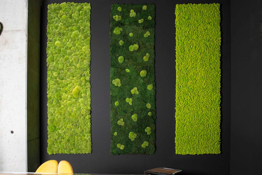 Autres décorations murales - Vertical Garden - Panneaux muraux - VG - VGNEWTREND