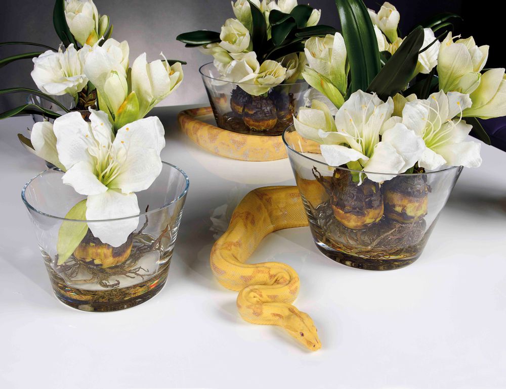 Floral decoration - Set Arrangements Small - Small Flower Compositions - VG - VGNEWTREND