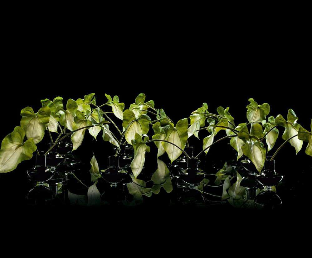 Vases - Vases en verre - VG - VGNEWTREND