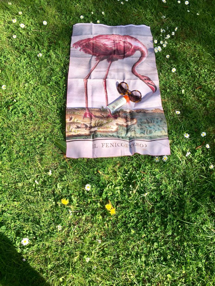 Cadeaux - Grand drap de bain en microfibre velours Flamant rose - OLDREGIME