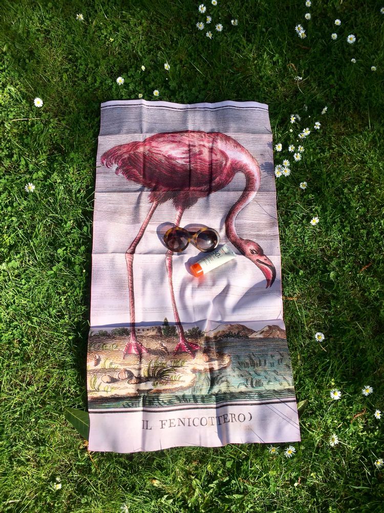 Cadeaux - Grand drap de bain en microfibre velours Flamant rose - OLDREGIME