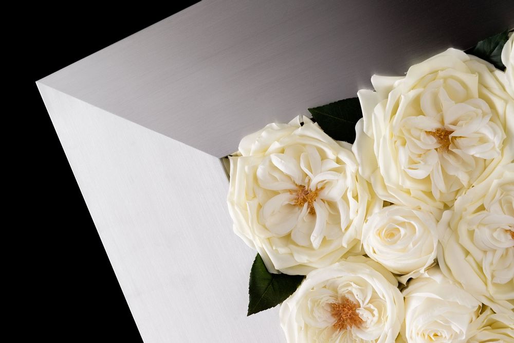 Revêtements muraux - Panneaux décoratifs - VG - VGNEWTREND