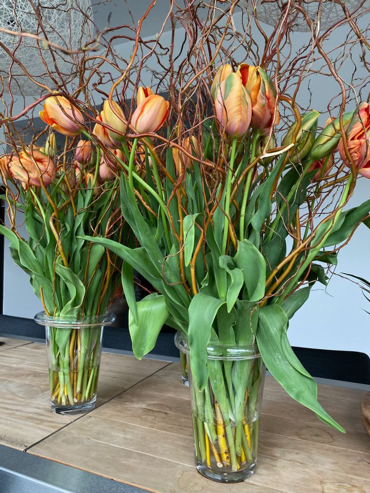 Vases - Gooooo OGO - GOOOOO