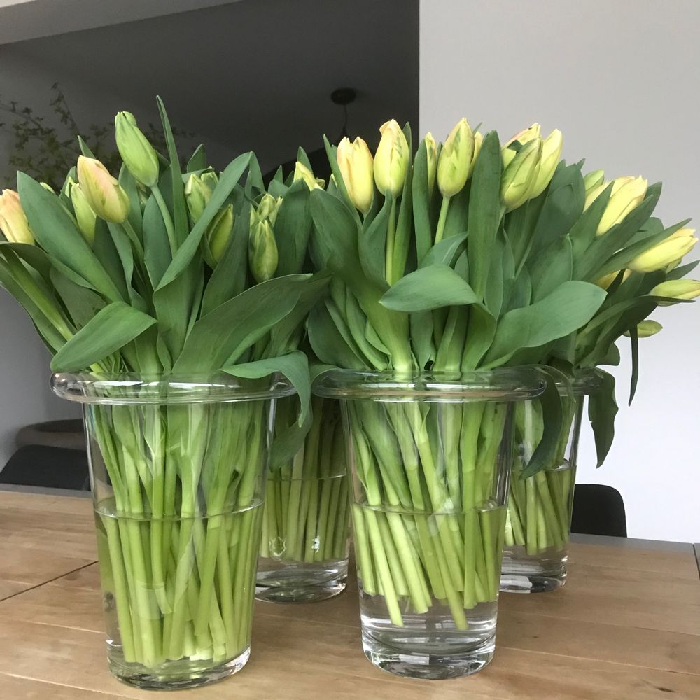 Vases - Gooooo OGO - GOOOOO