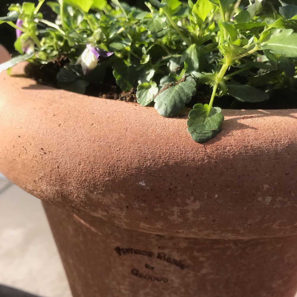 Pots de fleurs - Gooooo OTO mini - GOOOOO