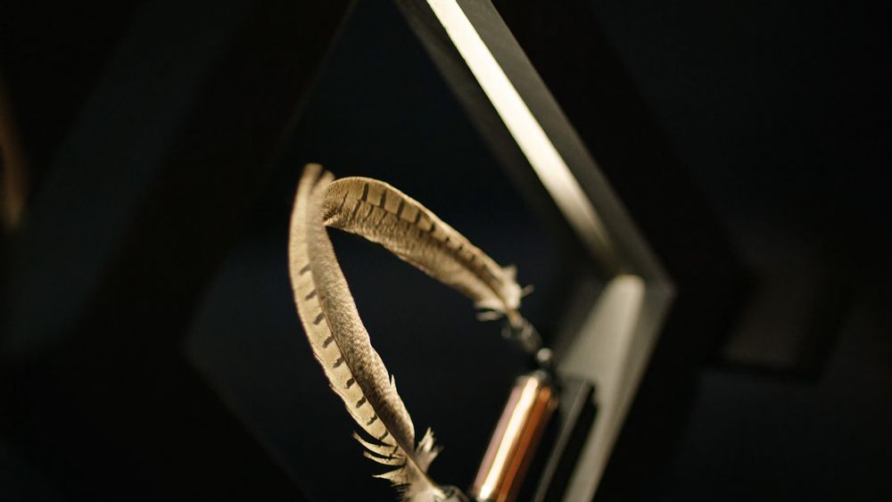 Objets design - Cadre Photo Slow Dance (Light Pine) - Light sculpture - WONDER MACHINES