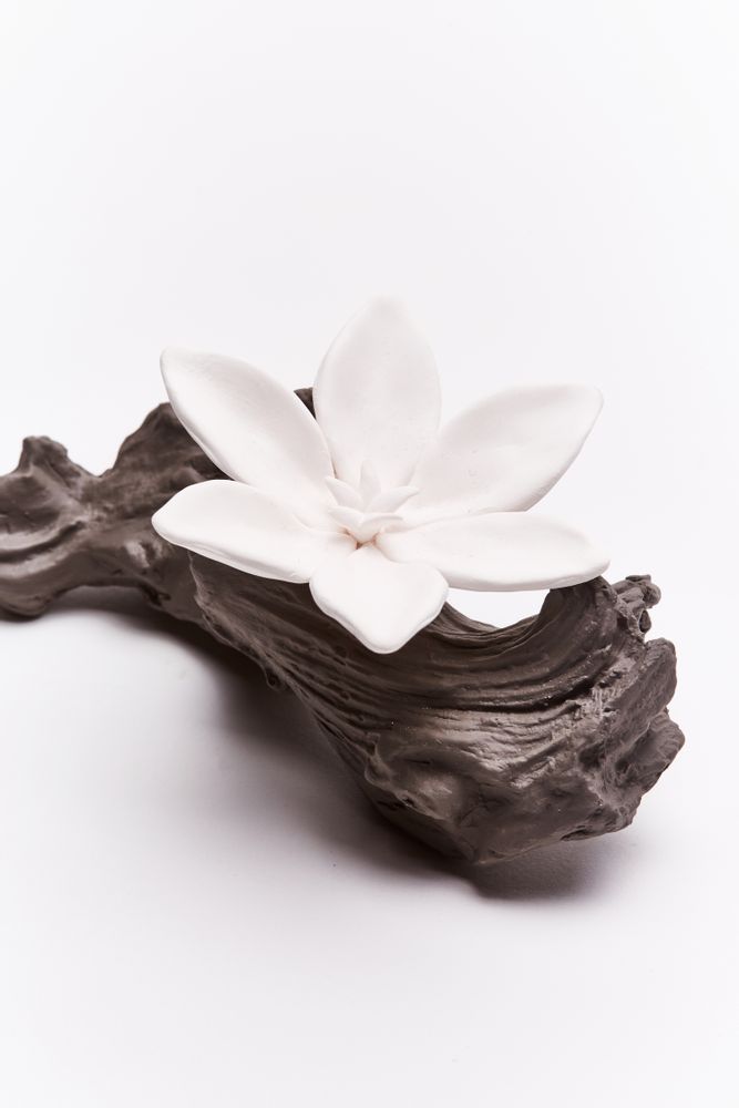 Accessoires à poser - Diffuseur de parfum et d'huile essentielle Flores. - ANOQ