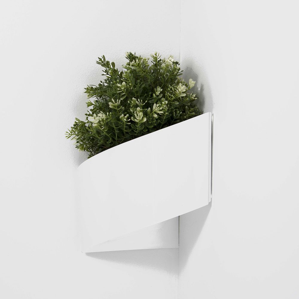 Other wall decoration - Modul'Green Gift, Wall Container - GREEN'TURN