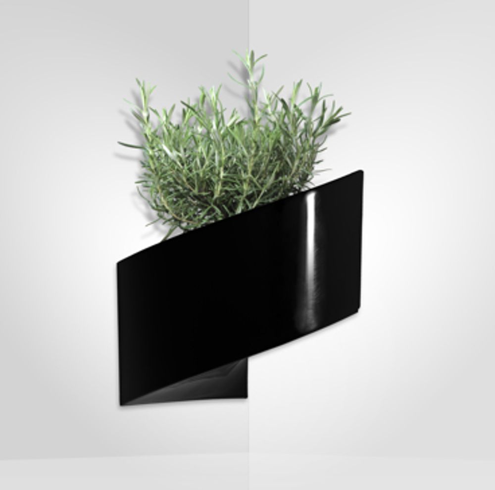 Other wall decoration - Modul'Green Gift, Wall Container - GREEN'TURN