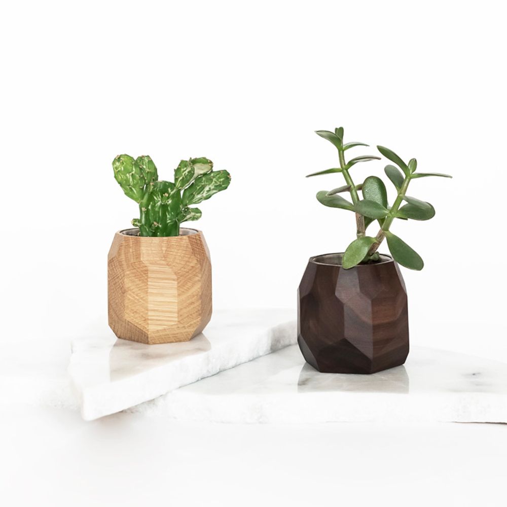 Decorative objects - Walnut geometric pot - OAKYWOOD