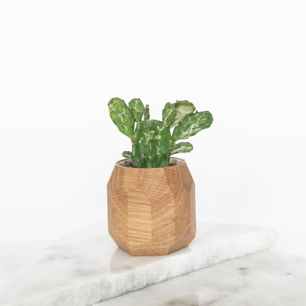 Decorative objects - Walnut geometric pot - OAKYWOOD