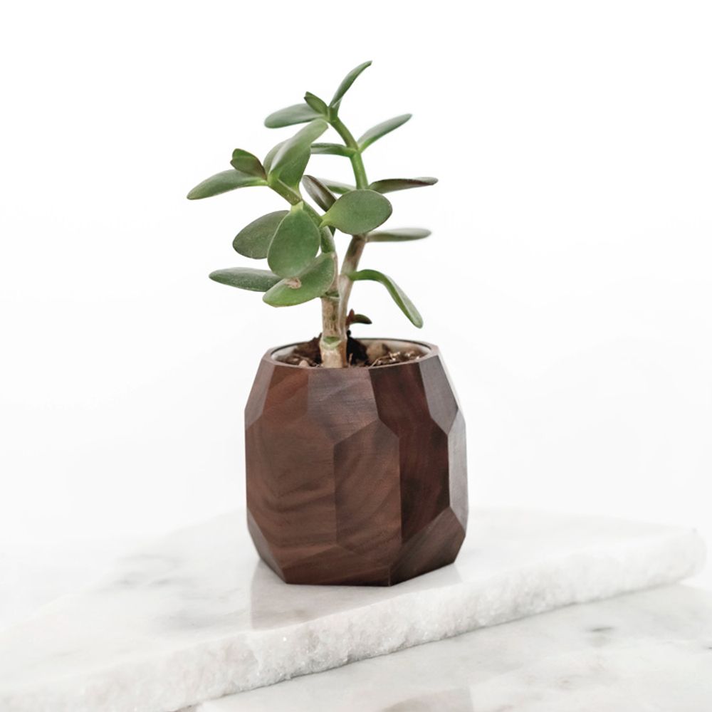 Decorative objects - Walnut geometric pot - OAKYWOOD