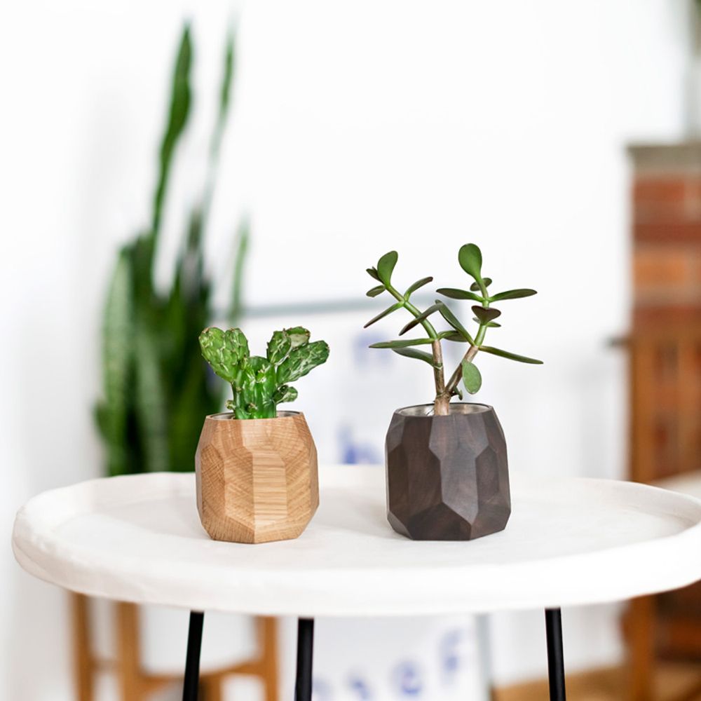 Decorative objects - Walnut geometric pot - OAKYWOOD