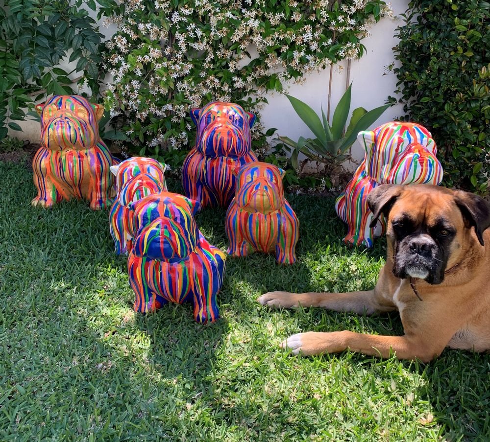 Decorative objects - Bulldog Statue - CASA NATURA