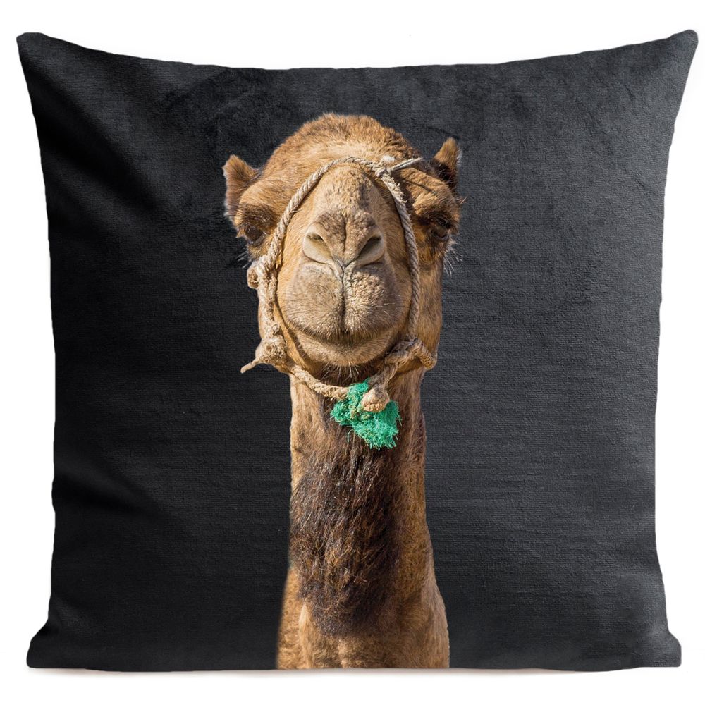 Fabric cushions - Smiling CAMEL Cushion 40*40 - ARTPILO